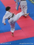 dmd20120219_JKD341