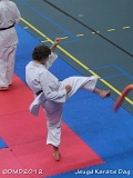 dmd20120219_JKD344