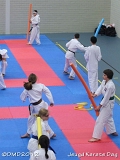 dmd20120219_JKD351