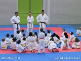 dmd20120219_JKD365