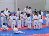 dmd20120219_JKD369