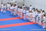 dmd20120219_JKD373