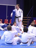 dmd20120219_JKD382