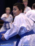 dmd20120219_JKD397