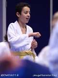 dmd20120219_JKD398