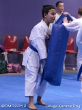 dmd20120219_JKD419