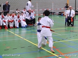 dmd20120331_LC-132