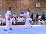 dmd20120331_LC-236