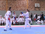 dmd20120331_LC-236