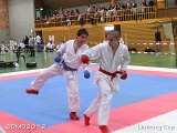 dmd20120331_LC-291