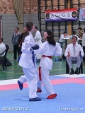 dmd20120331_LC-516