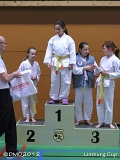 dmd20120331_LC_kata_035