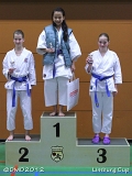 dmd20120331_LC_kata_038