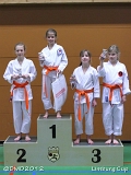 dmd20120331_LC_kata_040