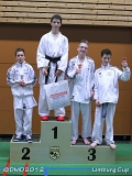 dmd20120331_LC_kumite082