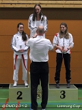 dmd20120331_LC_kumite087