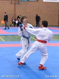 dmd20120401__NKWado-0202