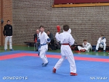 dmd20120401__NKWado-0214