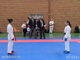 dmd20120401__NKWado-0215