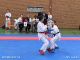 dmd20120401__NKWado-0217