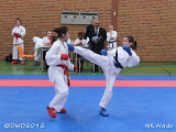 dmd20120401__NKWado-0218