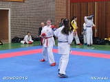 dmd20120401__NKWado-0220