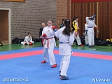 dmd20120401__NKWado-0220