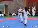 dmd20120401__NKWado-0221