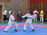 dmd20120401__NKWado-0225