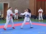 dmd20120401__NKWado-0226