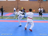 dmd20120401__NKWado-0230