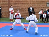 dmd20120401__NKWado-0232