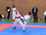 dmd20120401__NKWado-0233