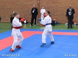 dmd20120401__NKWado-0234