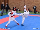 dmd20120401__NKWado-0238