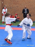 dmd20120401__NKWado-0240