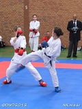 dmd20120401__NKWado-0243