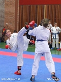 dmd20120401__NKWado-0245