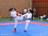 dmd20120401__NKWado-0251