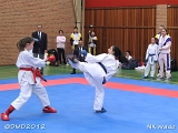 dmd20120401__NKWado-0252