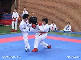 dmd20120401__NKWado-0258