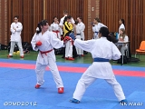 dmd20120401__NKWado-0266