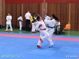 dmd20120401__NKWado-0268