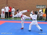 dmd20120401__NKWado-0269