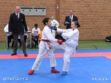 dmd20120401__NKWado-0279