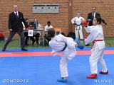 dmd20120401__NKWado-0282