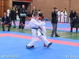 dmd20120401__NKWado-0315