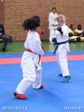 dmd20120401__NKWado-0317