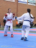 dmd20120401__NKWado-0321