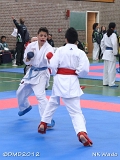 dmd20120401__NKWado-0329